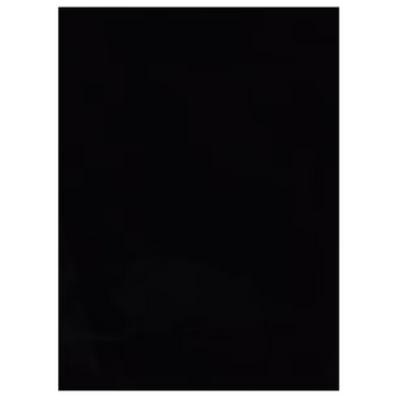 Rabbit Black