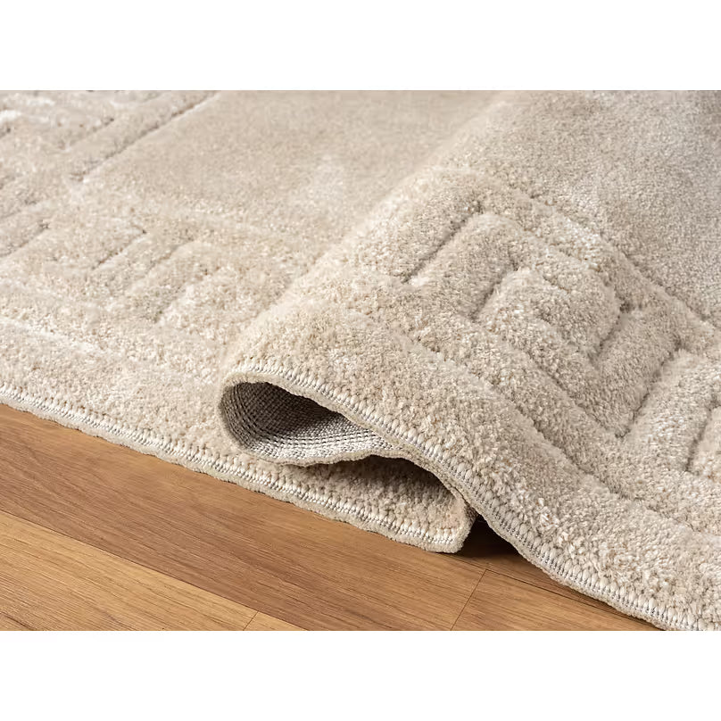 Uiuc Rug Skyler S625 Champaign